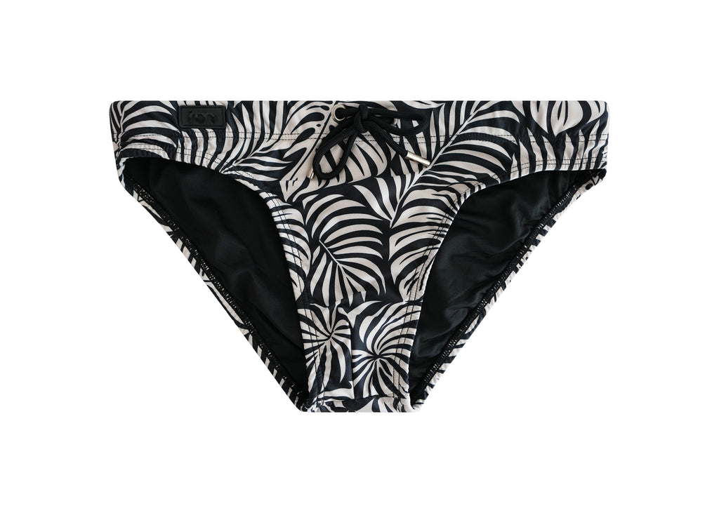 Zebra Palm