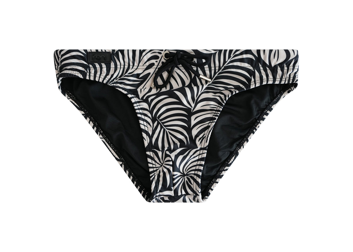 Zebra Palm