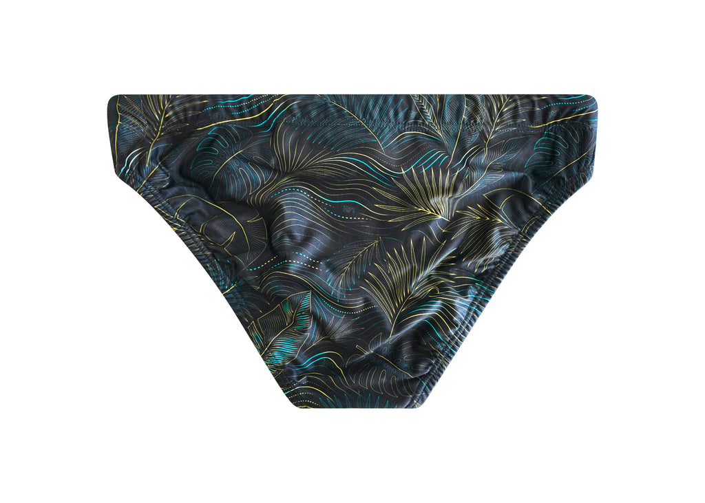 Midnight Palms