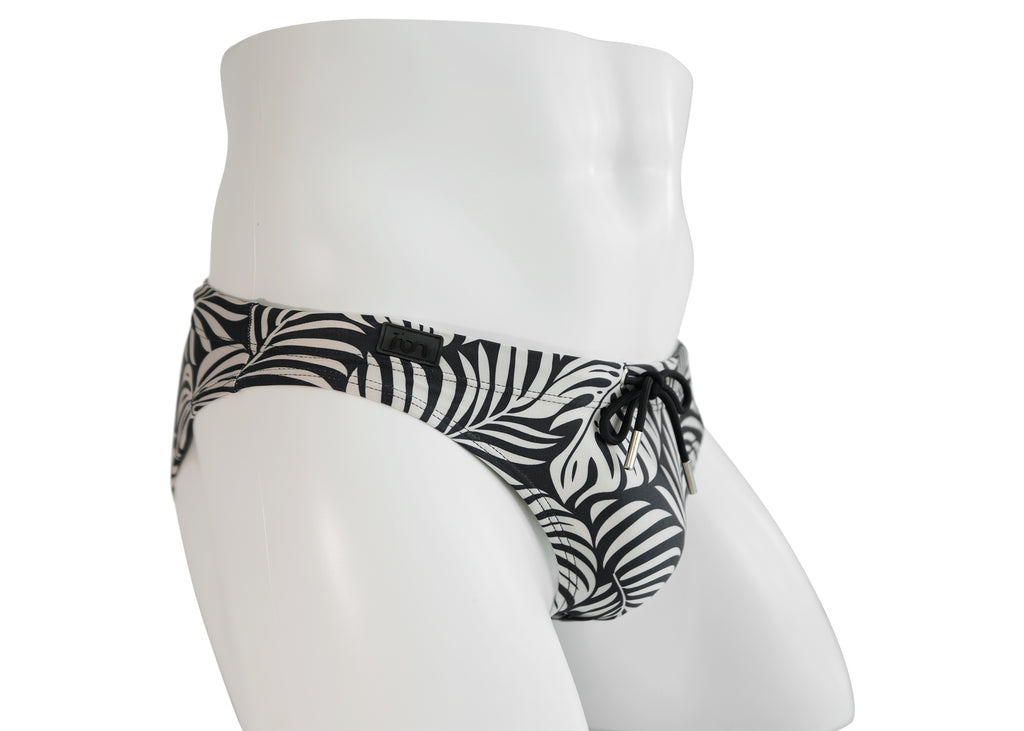 Zebra Palm