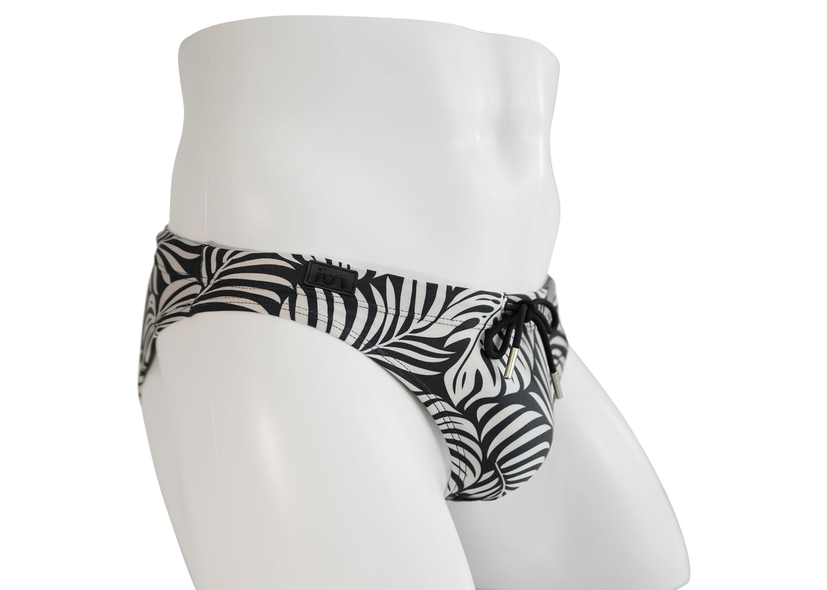 Zebra Palm