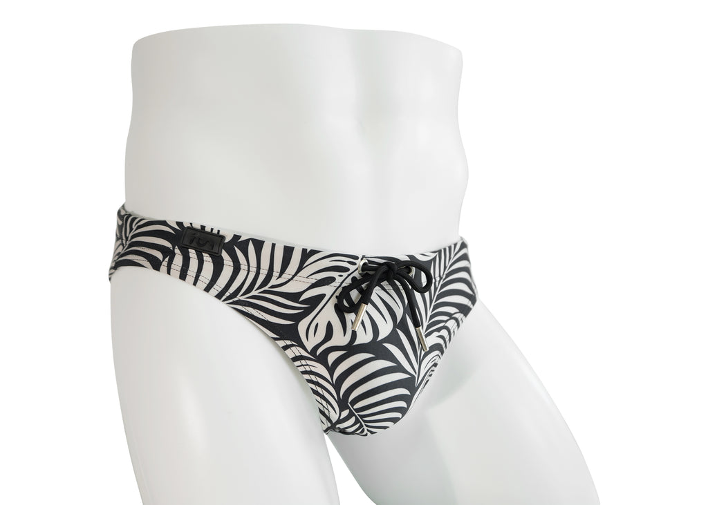 Zebra Palm